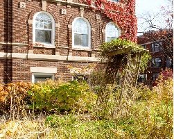 Brick building surrounded by weeds and overgrowth vegetation.