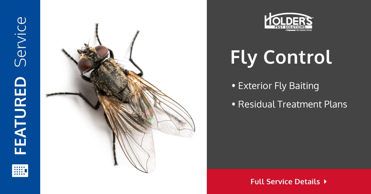 exterior fly control
