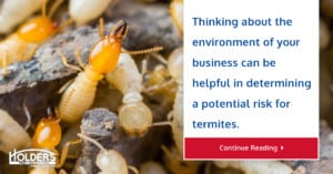 Termites in businesses