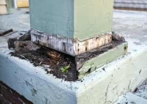 termite damage in houston